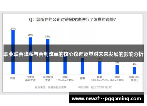 职业联赛降薪与赛制改革的核心议题及其对未来发展的影响分析