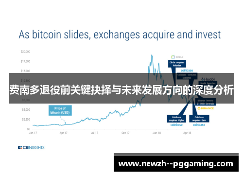 费南多退役前关键抉择与未来发展方向的深度分析 费南多退役前关键抉择与未来发展方向的深度分析